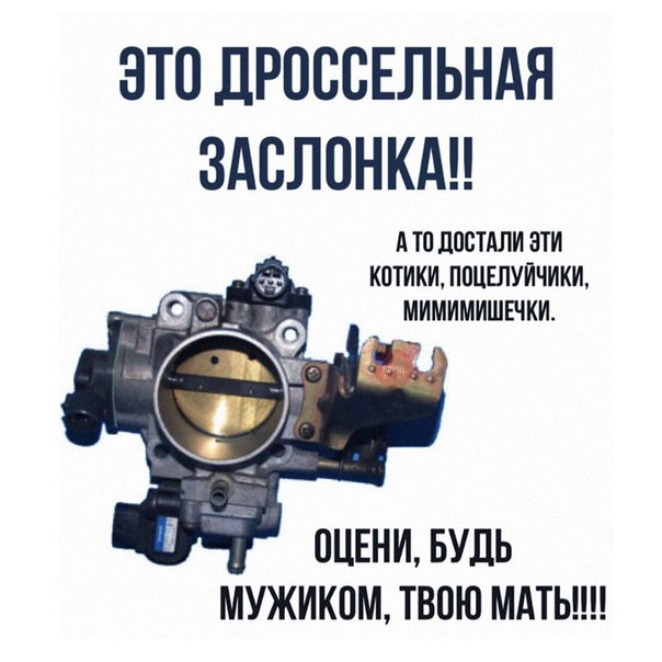 Чуток картинок. 02.02.20