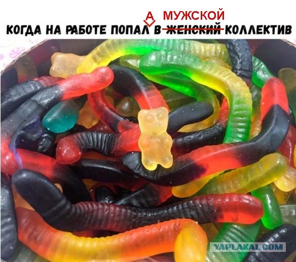 Немного картинок для настроения 20.02.20
