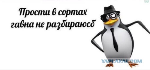 Миронов ответил на пародию Галкина