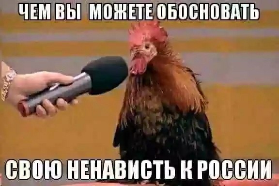 Хабаровск, не сдавайся!