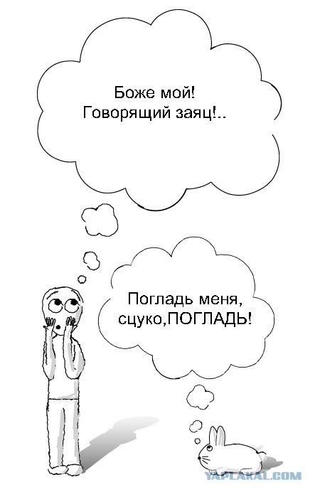 Фотожаба: Я и зайка