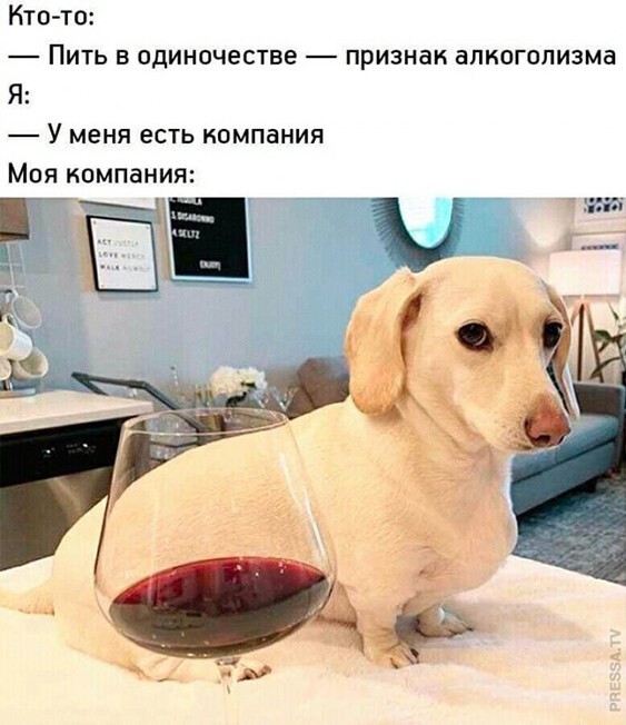 Алкопост 7.11.20