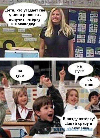 На уроке биологии