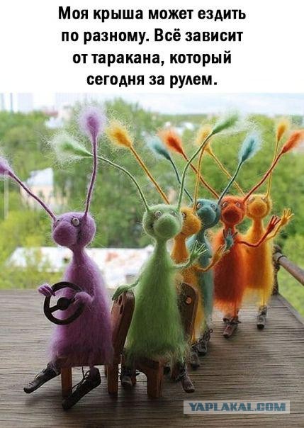 Фотки и картинки: юморные и красивые, забавные и милые 13.11.20
