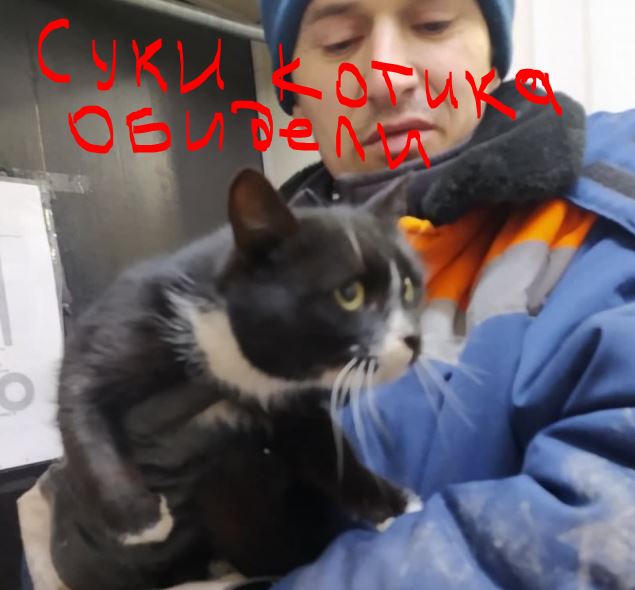Новогодние чудеса случаются даже в этом году. Посмотрите на это кинематографичное спасение кота в мешке