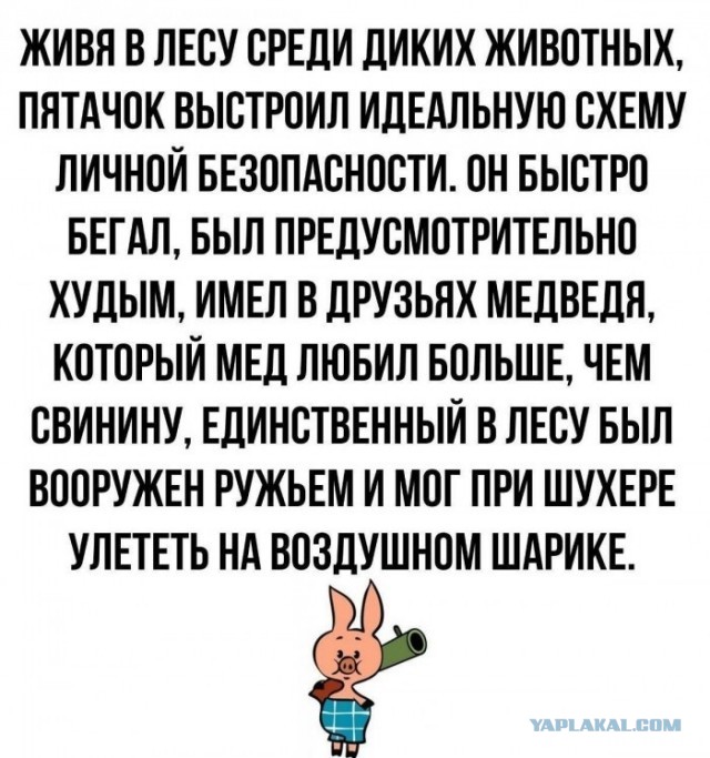 Декабрьский пикчемёт