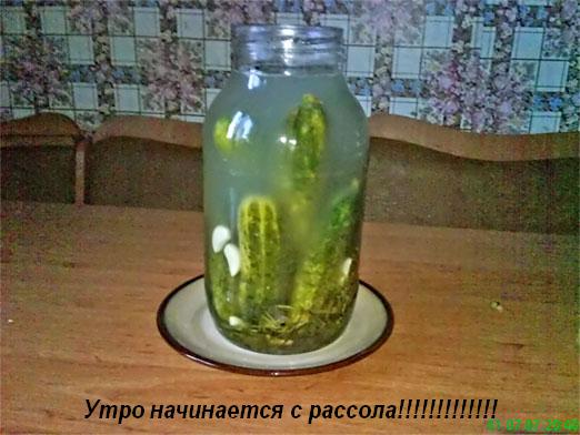 А с чего вы день начали?