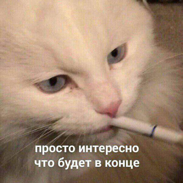 Падение китайской ракеты в прямом эфире