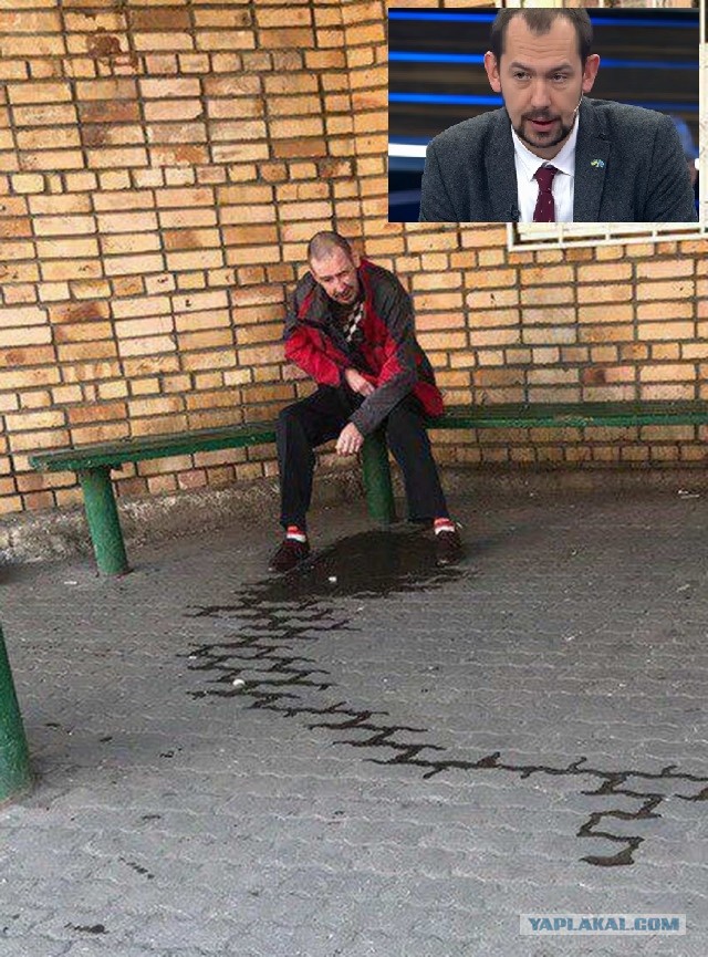 Скотсети и прочие интернеты 03.12.21