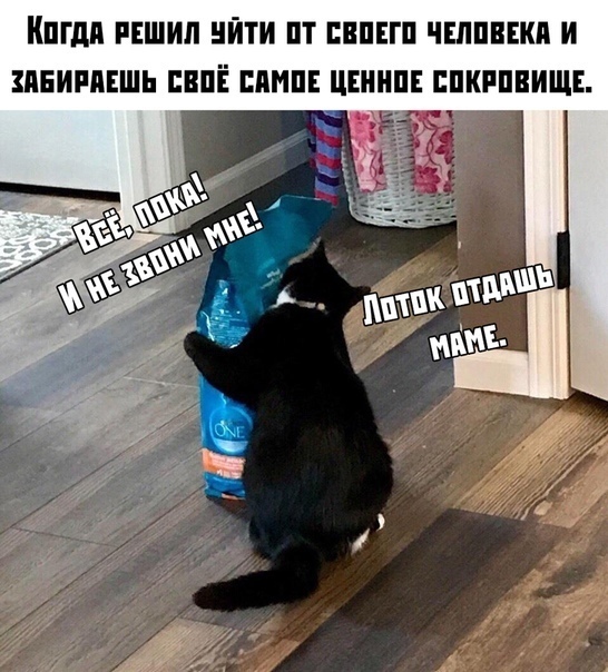 Так себе картинки 18.12.21