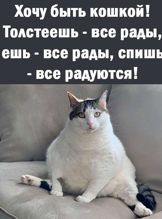 16566695.jpg