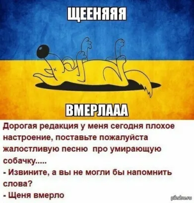 Запишите меня!
