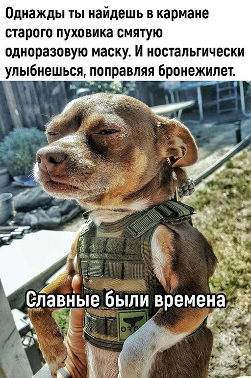 Баянисто-небаянистый юмор 7.04.22