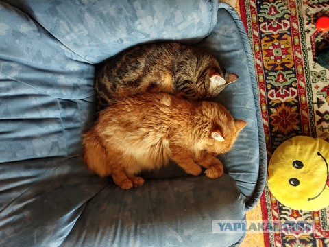 Топить поздно...