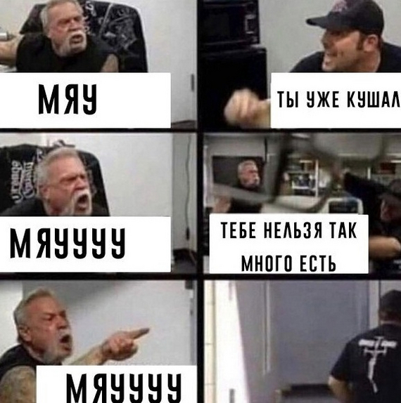 Картинки и мемы для настроения - 29