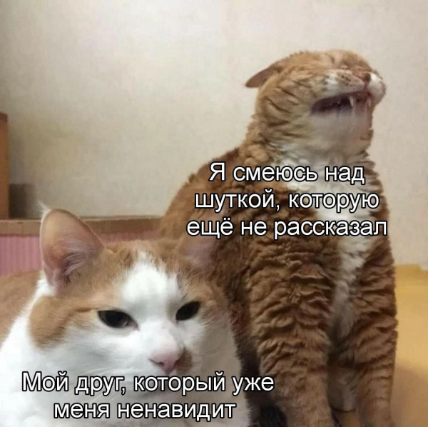 Картинки и мемы для настроения - 27