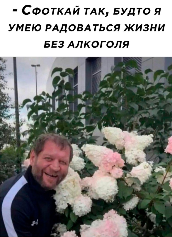 Немного картинок для настроения - 131