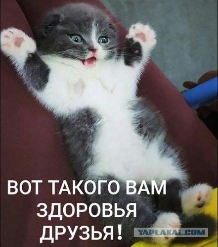 Прикольные и просто красивые картинки 25.10.2022