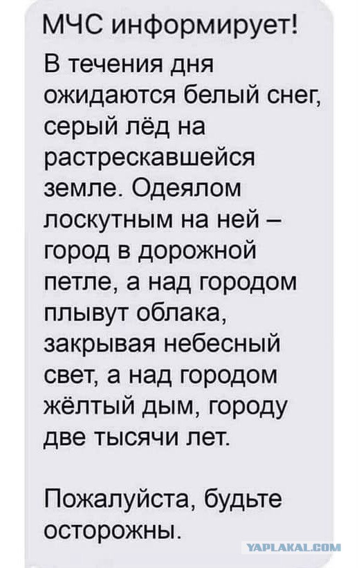 Весёлый полтишок 24.11.22