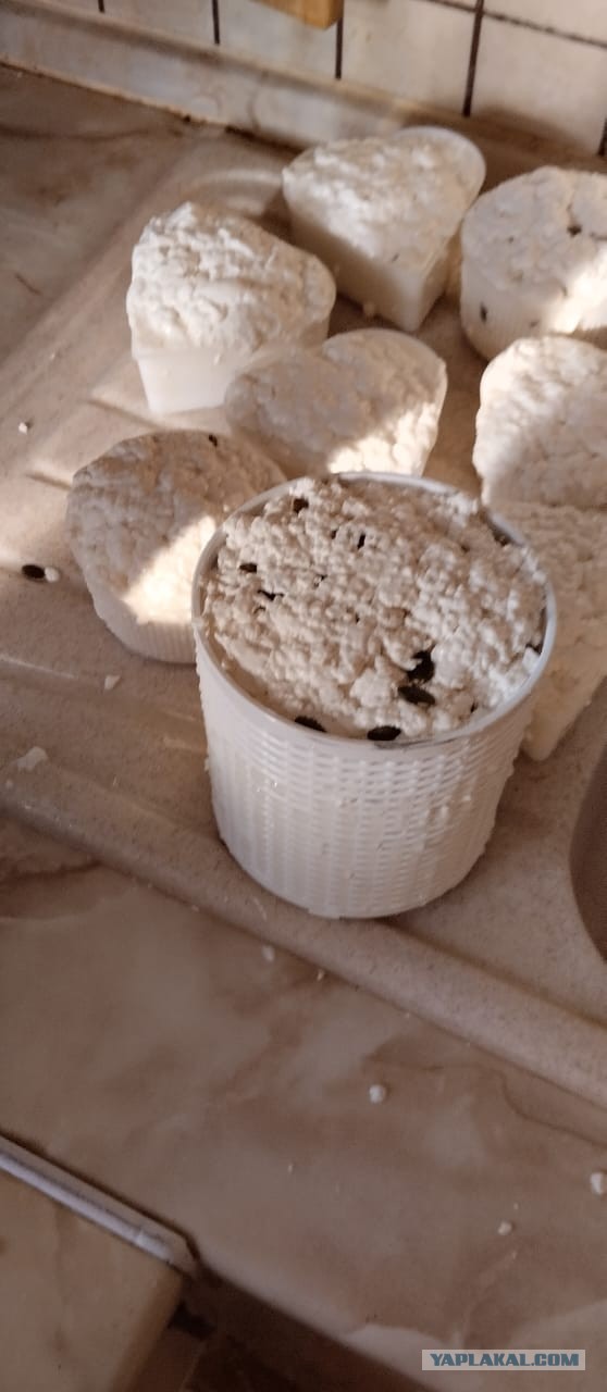 Варим качотту дома. Самый простой рецепт