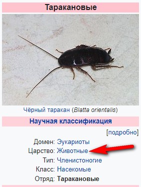 Есть ли у человека душа?