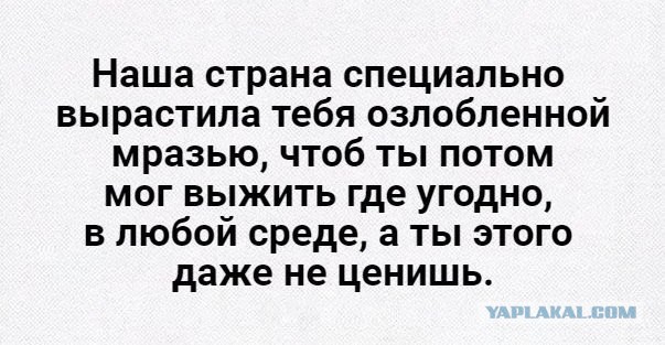 Почему ФССП устроена таким скотским образом?