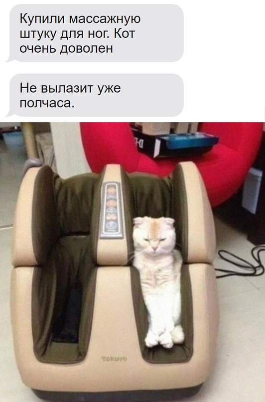 Весёлый полтишок 03.09.23