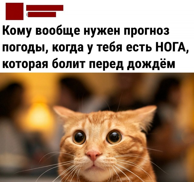 Забавные комментарии из социальных сетей (18.09.23)