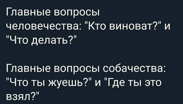 Никакие картинки и тексты