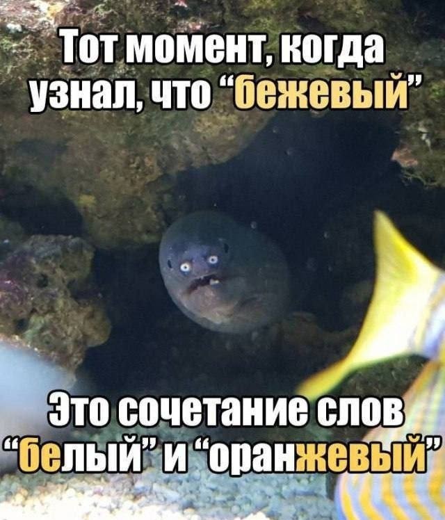 Завалялось тут случайно немного забавных картинок