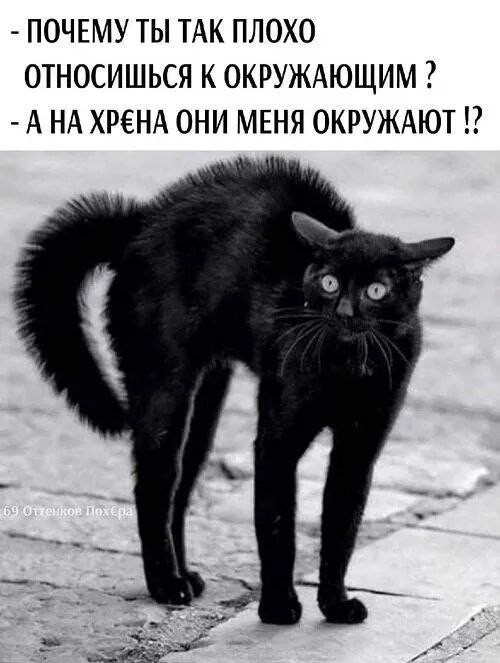 Картинки для...