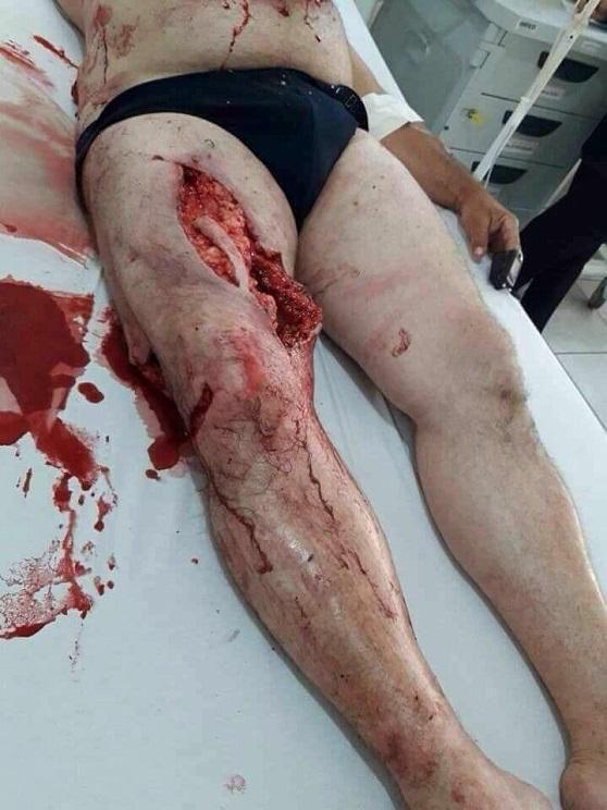 Неизвестные застрелили тигра в лесу в Яковлевском районе Приморья