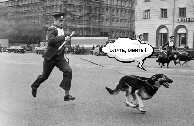 Москва и москвичи. Двадцатый век. 03.03.2025