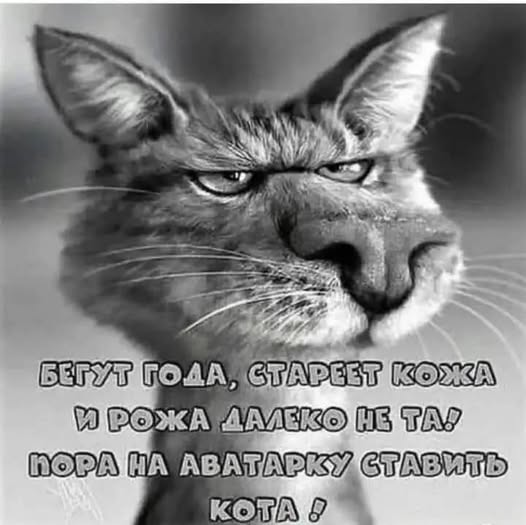 Пятничные бояны