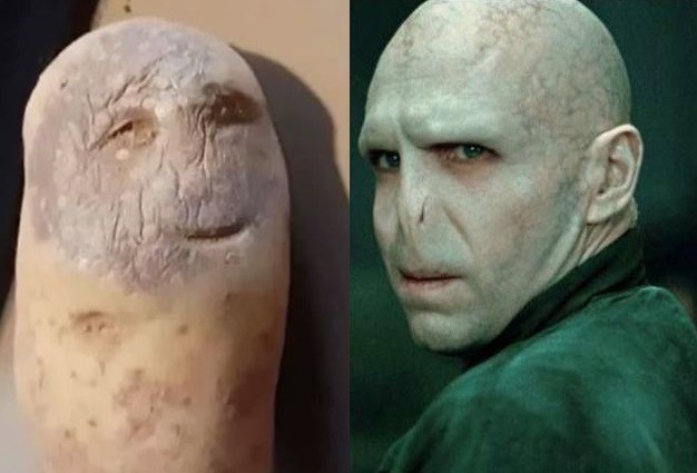 Веселое настроение в картинках 27.07.25