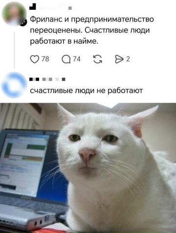 Весёлый полтишок 22.08.25