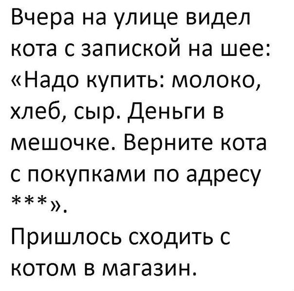 Картинки для деградации 49 (разной степени свежести)