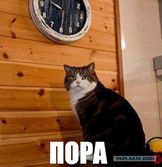 Брежнев и Долина