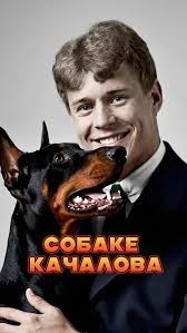 Дай, Джим, на счастье лапу мне