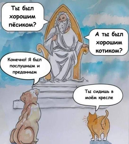 Картинки разные с надписями и без