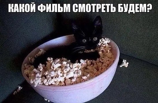 Прикольные и просто красивые картинки 27.02.2026