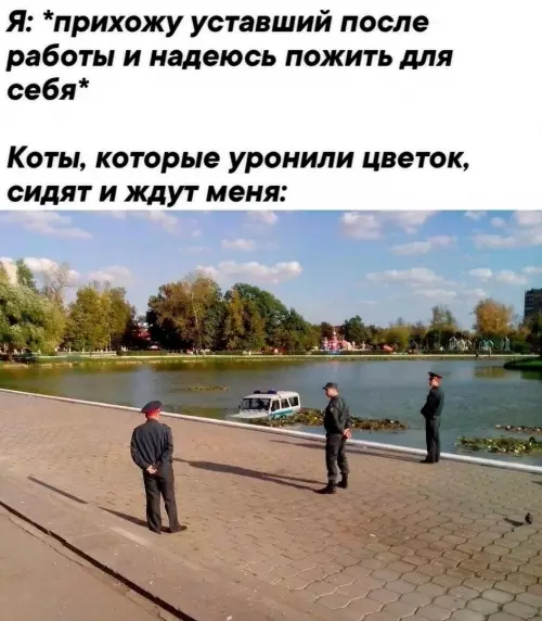 Картиночки, баянчики 06 марта
