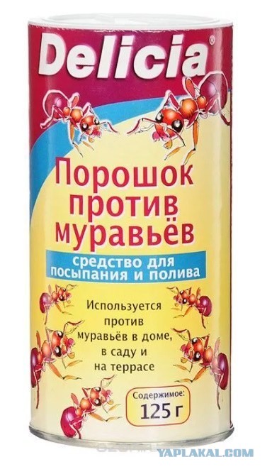 Муравьи в доме!