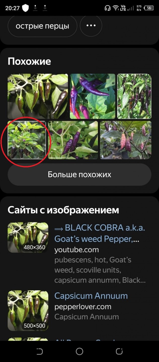 Вопрос перцеводам (2 фото)