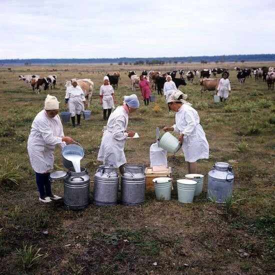 ​ Фотографии из прошлого нашей страны – 143