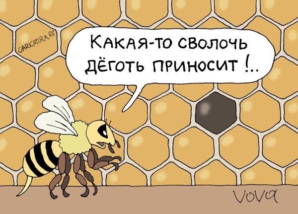 Картинки для деградации 191 (разной степени свежести)