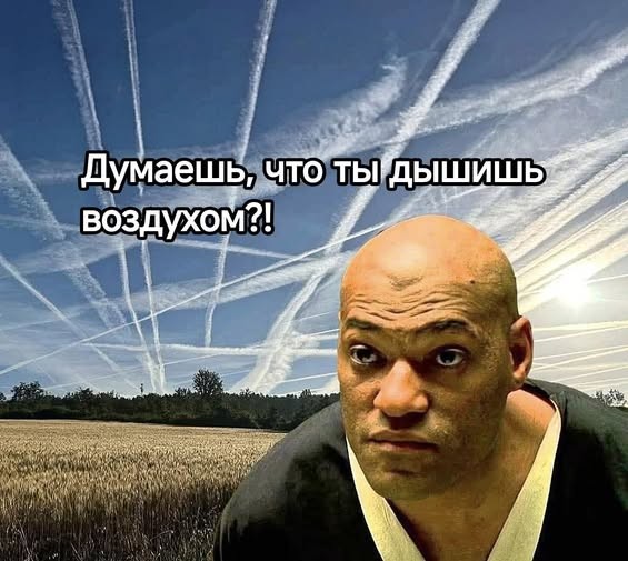 Субботние картинки