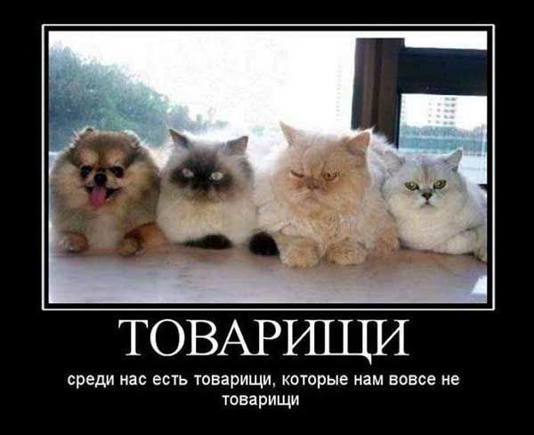 Знакомство с родителями
