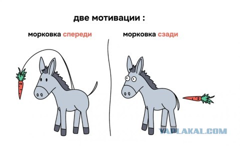 ОZОN