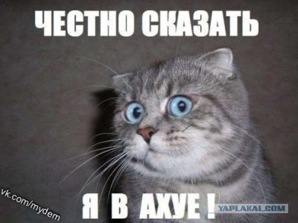 Лилу, как ты изменилась!